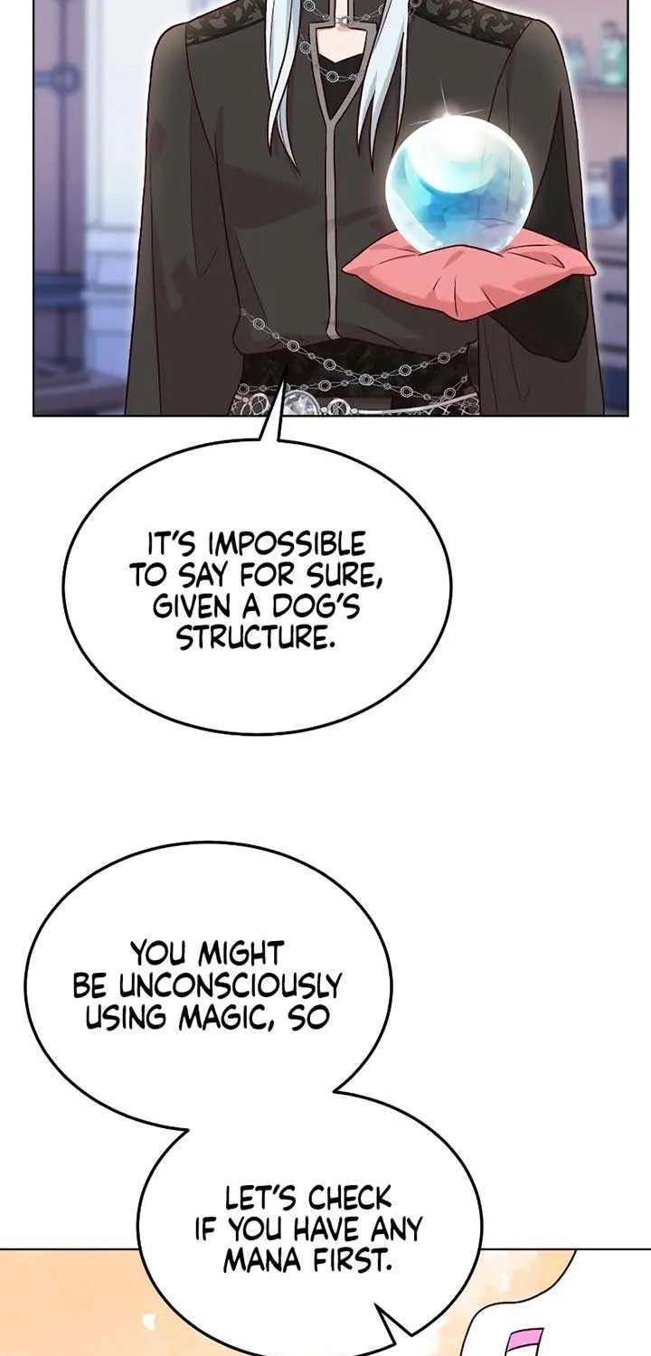 Read The Emperor’s Dog chapter 20 image 26 on Lezhin