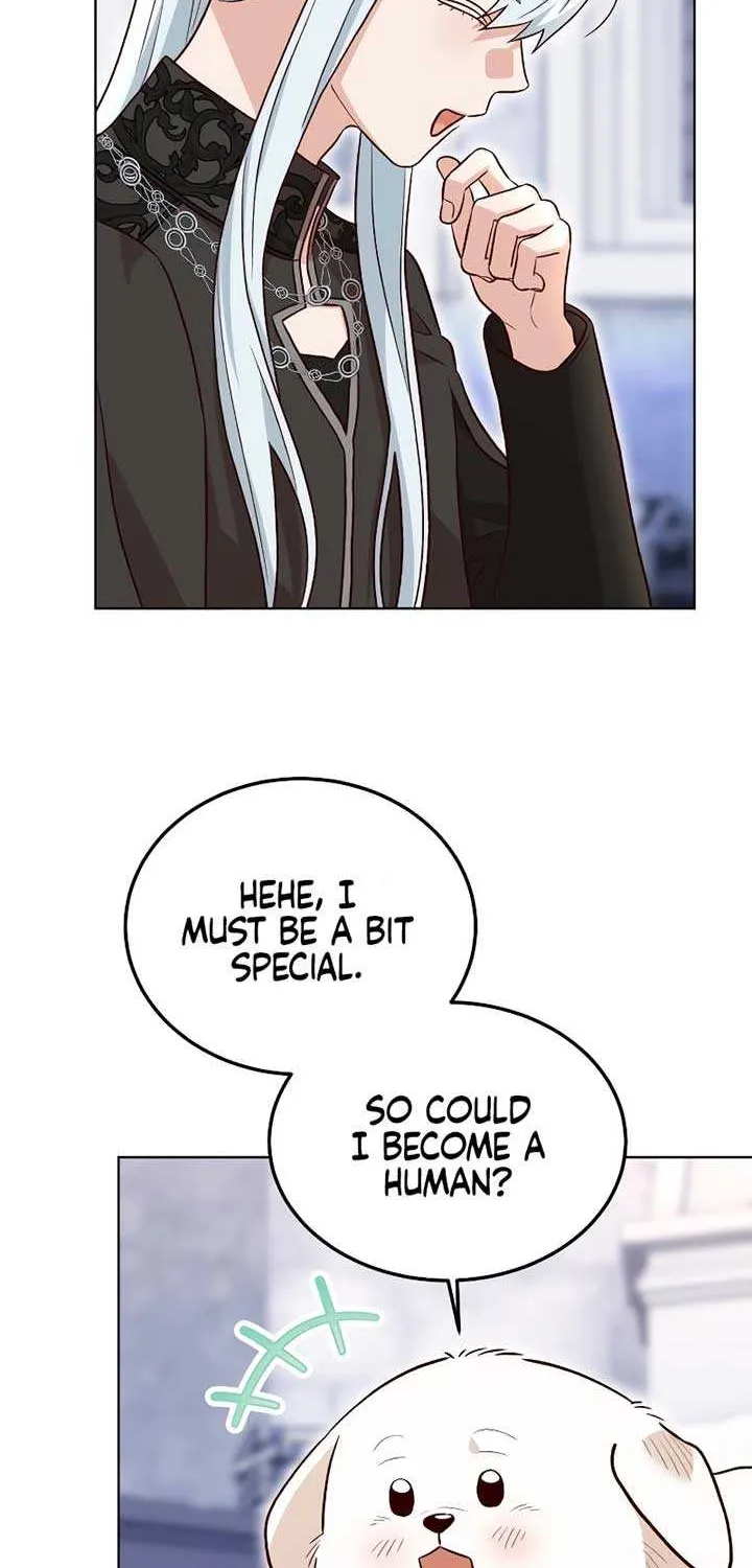 Read The Emperor’s Dog chapter 20 image 37 on Lezhin