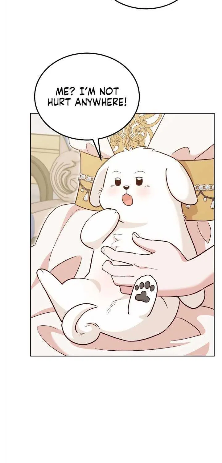 Read The Emperor’s Dog chapter 21 image 50 on Lezhin