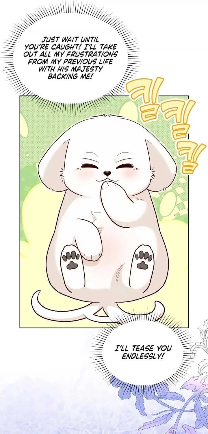 Read The Emperor’s Dog chapter 21 image 58 on Lezhin