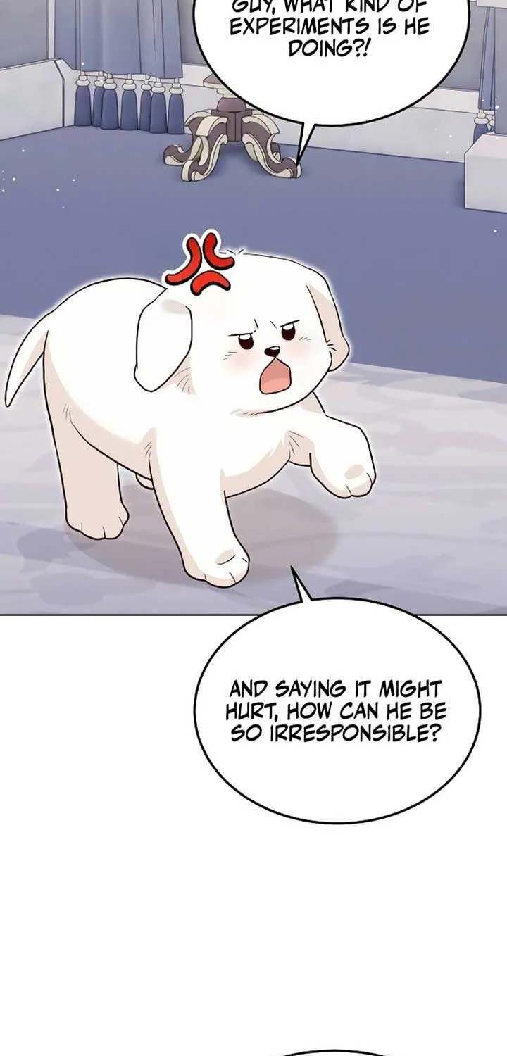Read The Emperor’s Dog chapter 22 image 47 on Lezhin