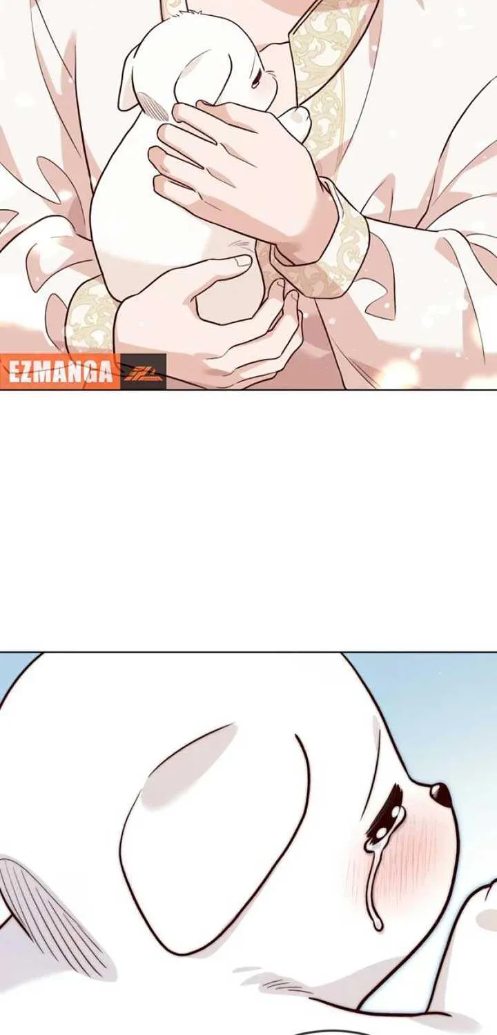 Read The Emperor’s Dog chapter 23 image 45 on Lezhin