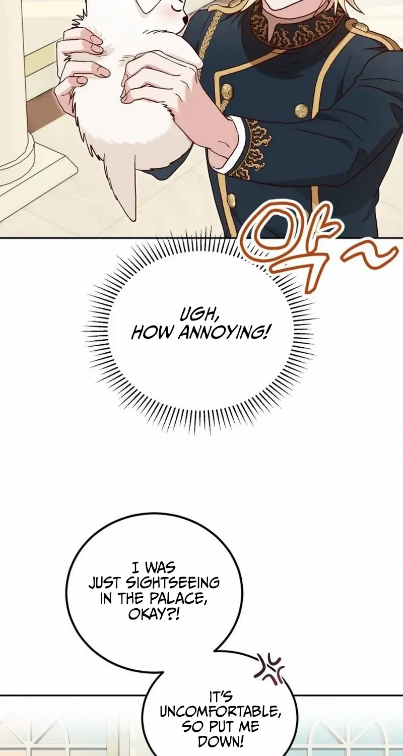 Read The Emperor’s Dog chapter 3 image 62 on Lezhin