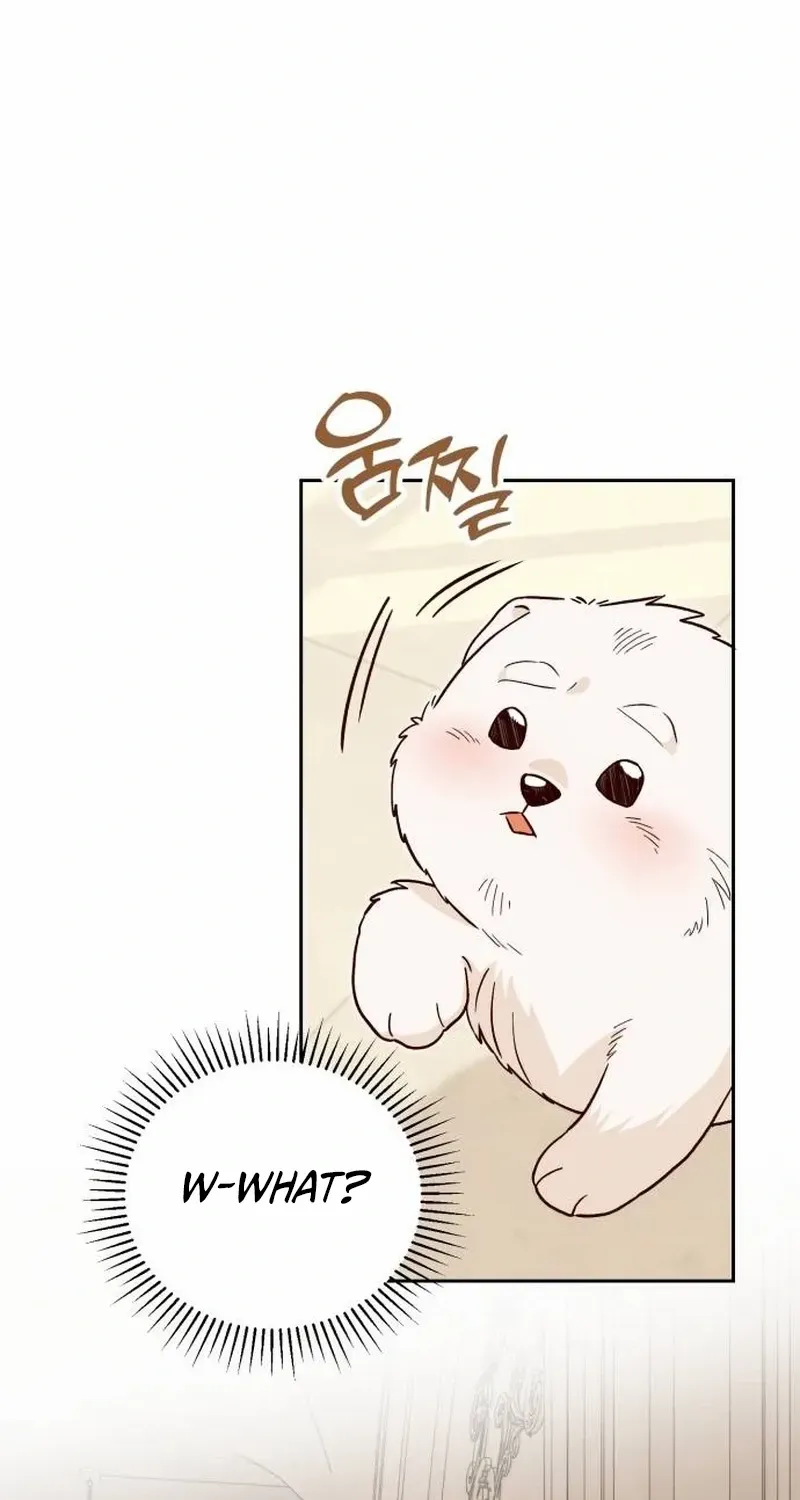 Read The Emperor’s Dog chapter 3 image 67 on Lezhin
