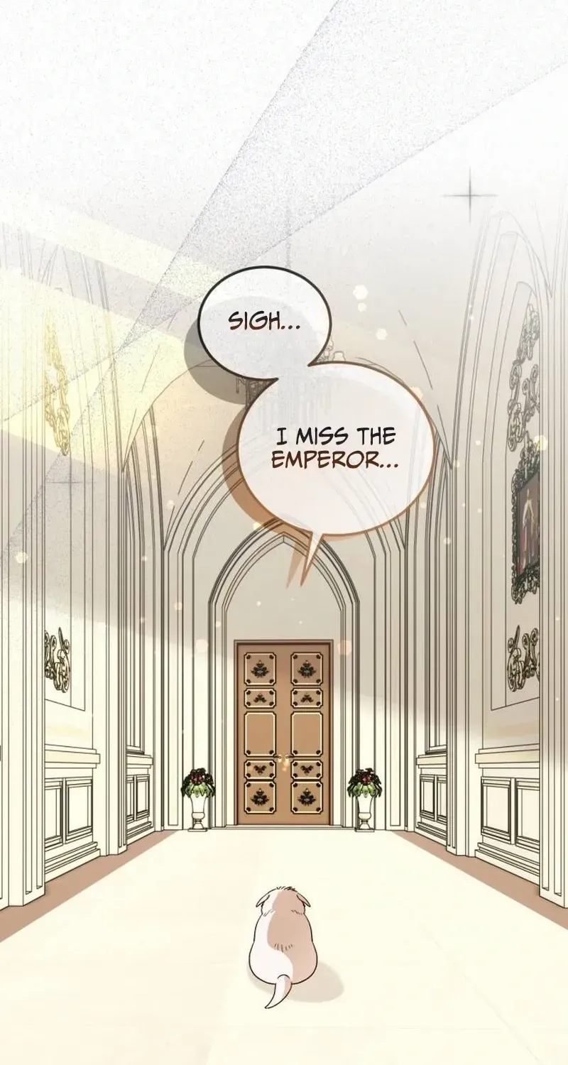 Read The Emperor’s Dog chapter 3 image 71 on Lezhin