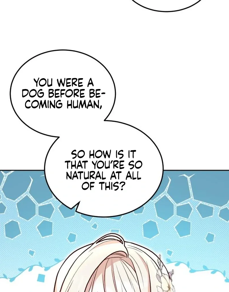 Read The Emperor’s Dog chapter 30 image 42 on Lezhin