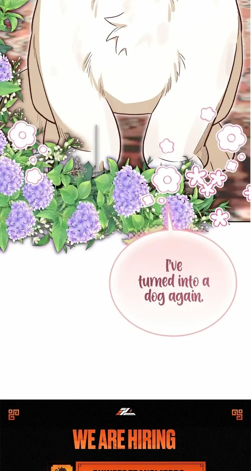 Read The Emperor’s Dog chapter 39 image 100 on Lezhin