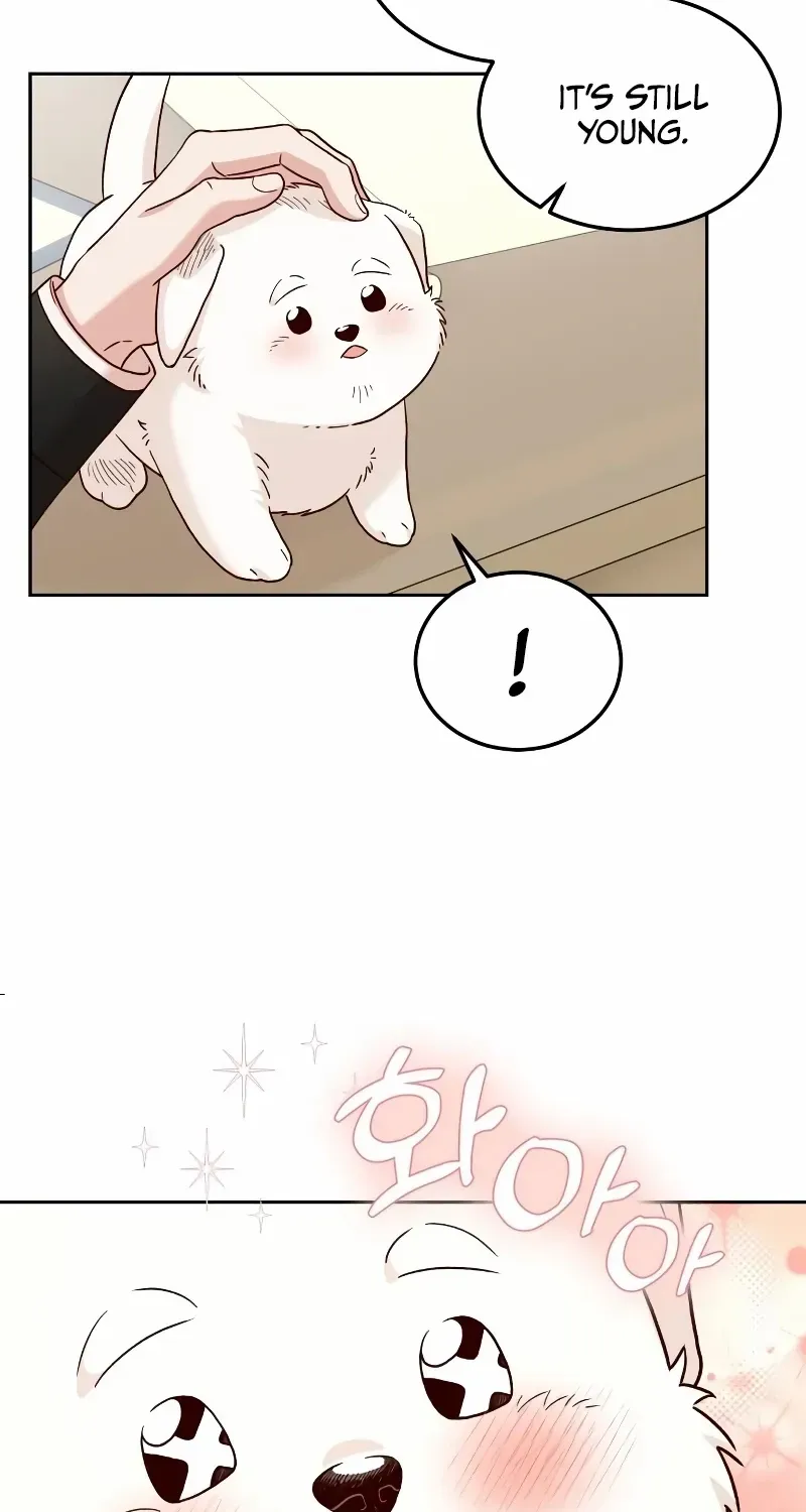 Read The Emperor’s Dog chapter 4 image 33 on Lezhin