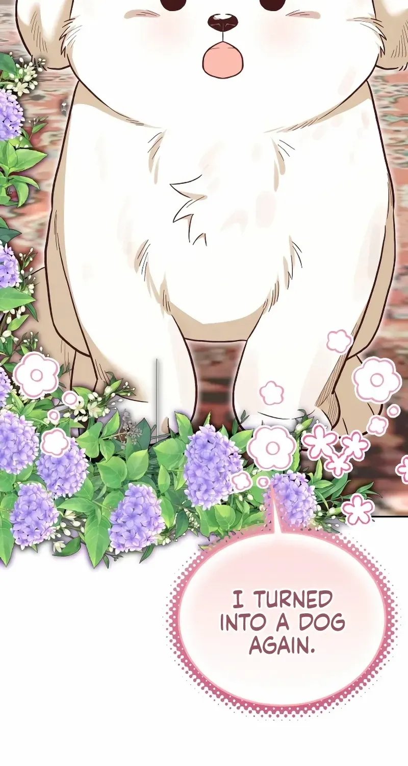 Read The Emperor’s Dog chapter 40 image 2 on Lezhin