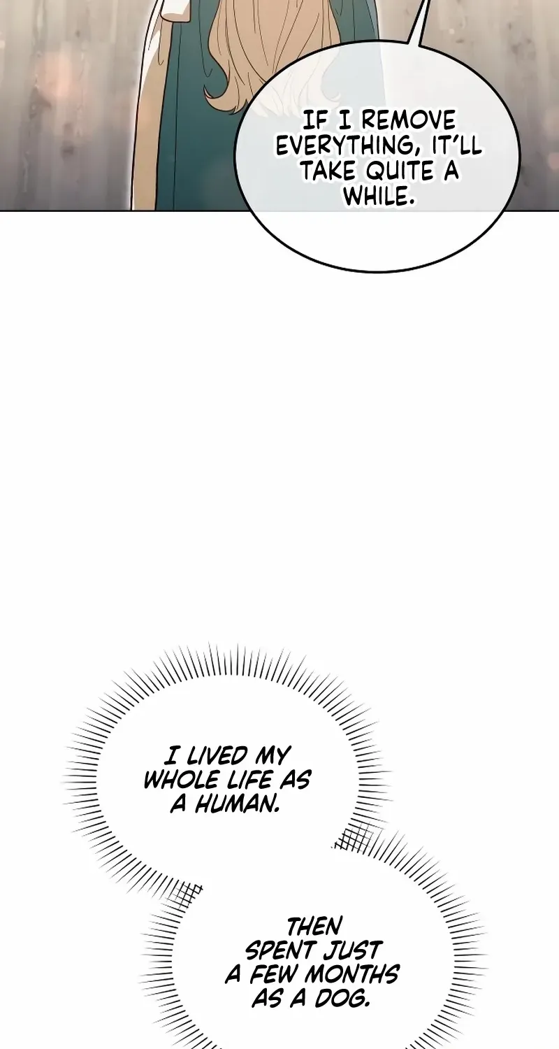 Read The Emperor’s Dog chapter 40 image 42 on Lezhin