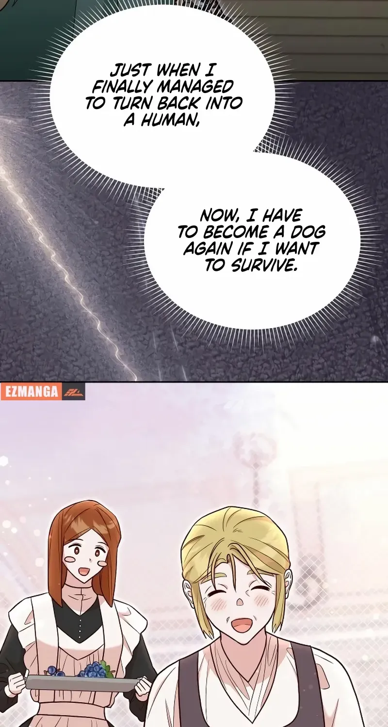 Read The Emperor’s Dog chapter 40 image 44 on Lezhin