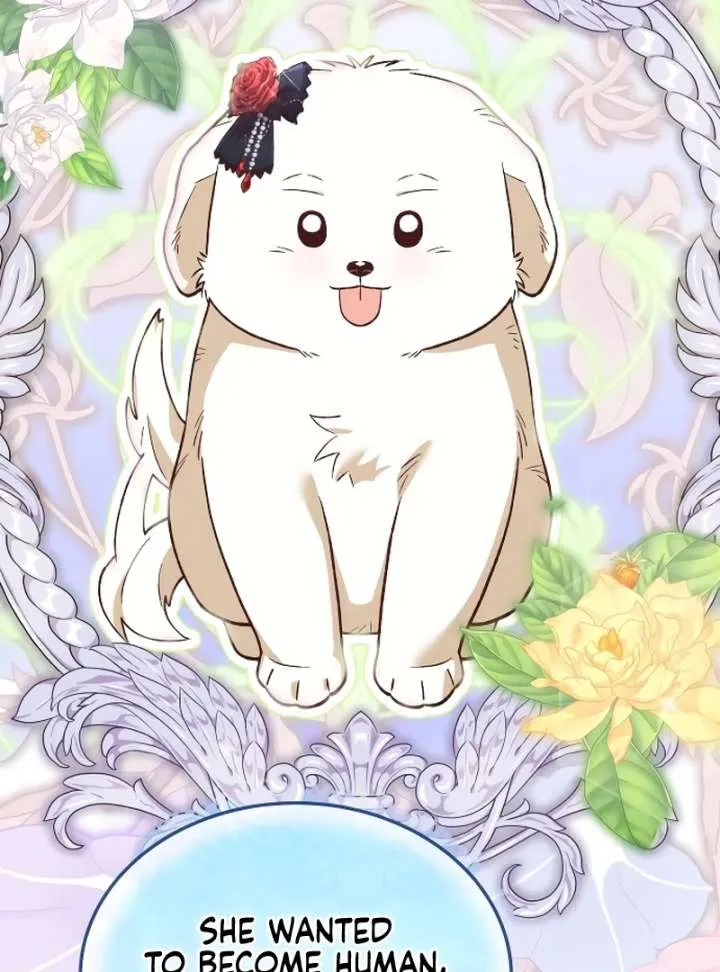 Read The Emperor’s Dog chapter 42 image 30 on Lezhin