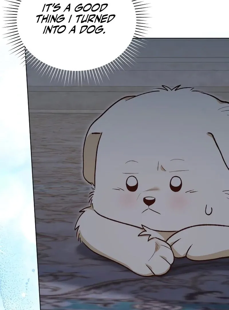 Read The Emperor’s Dog chapter 45 image 17 on Lezhin