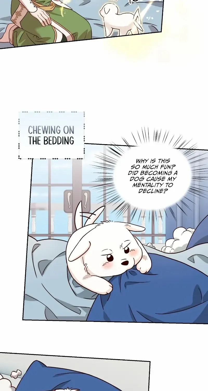 Read The Emperor’s Dog chapter 5 image 16 on Lezhin