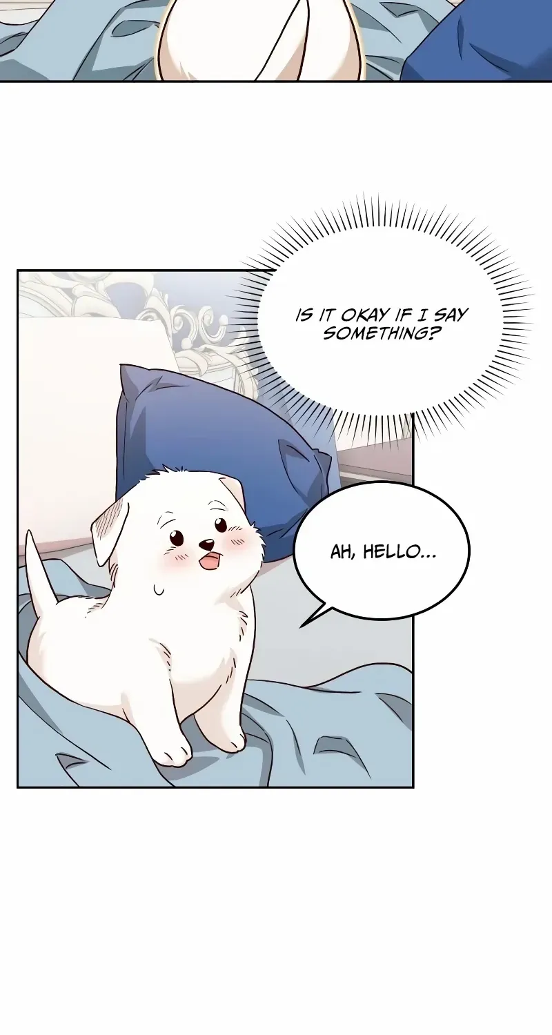 Read The Emperor’s Dog chapter 5 image 3 on Lezhin