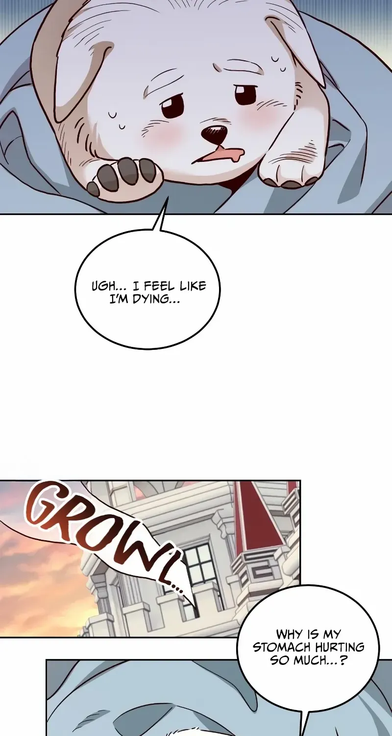 Read The Emperor’s Dog chapter 5 image 8 on Lezhin