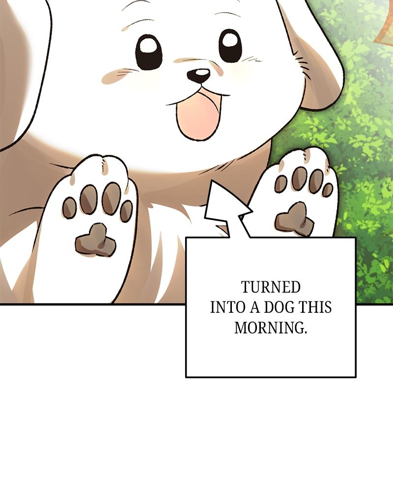 Read The Emperor’s Dog chapter 52 image 73 on Lezhin