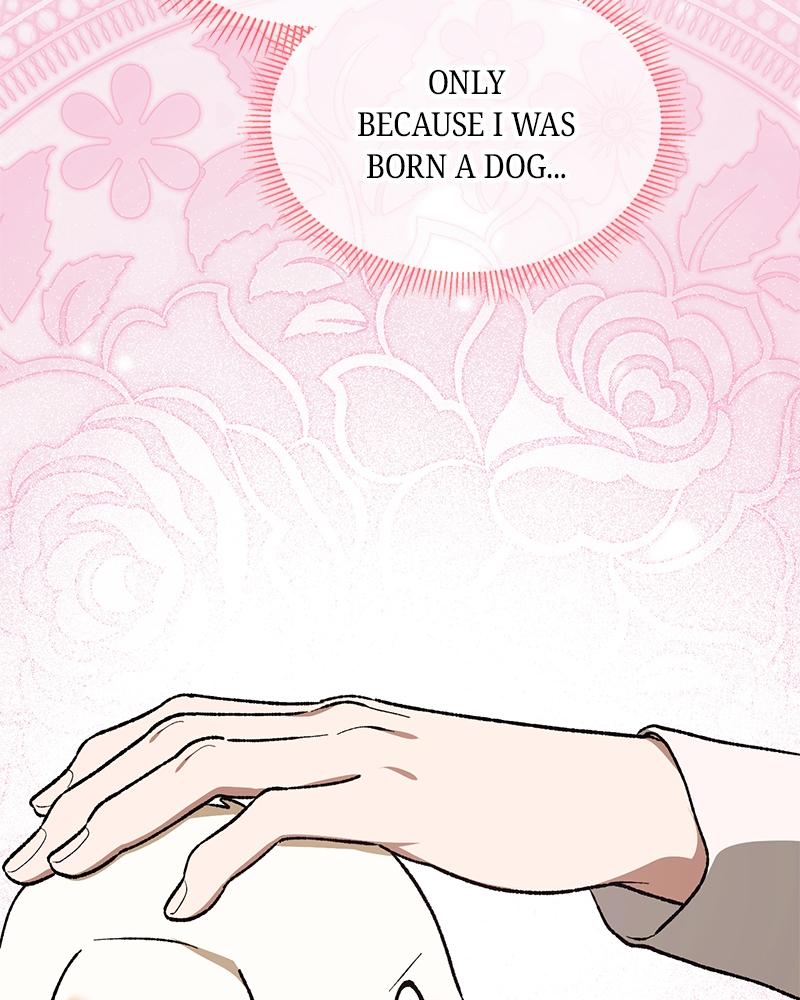 Read The Emperor’s Dog chapter 54 image 44 on Lezhin