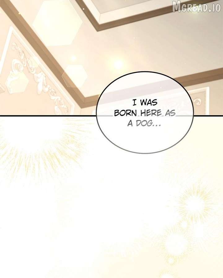 Read The Emperor’s Dog chapter 62 image 134 on Lezhin