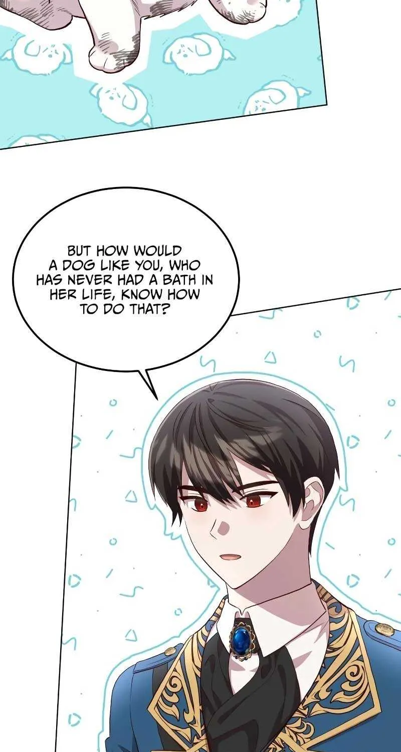 Read The Emperor’s Dog chapter 9 image 8 on Lezhin