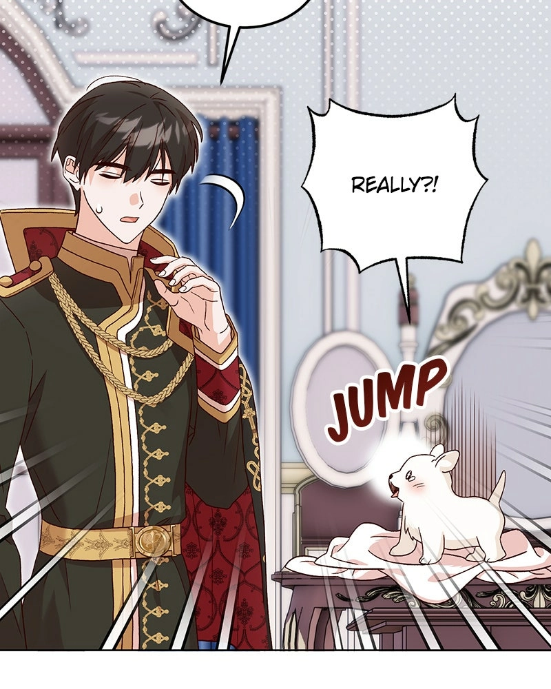 Read The Emperor