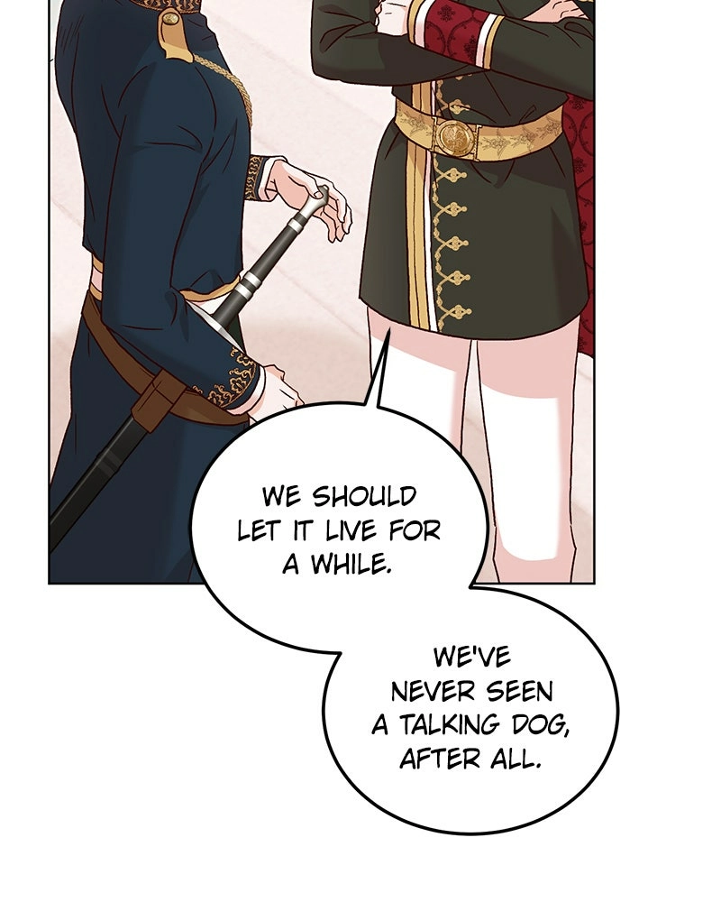 Read The Emperor