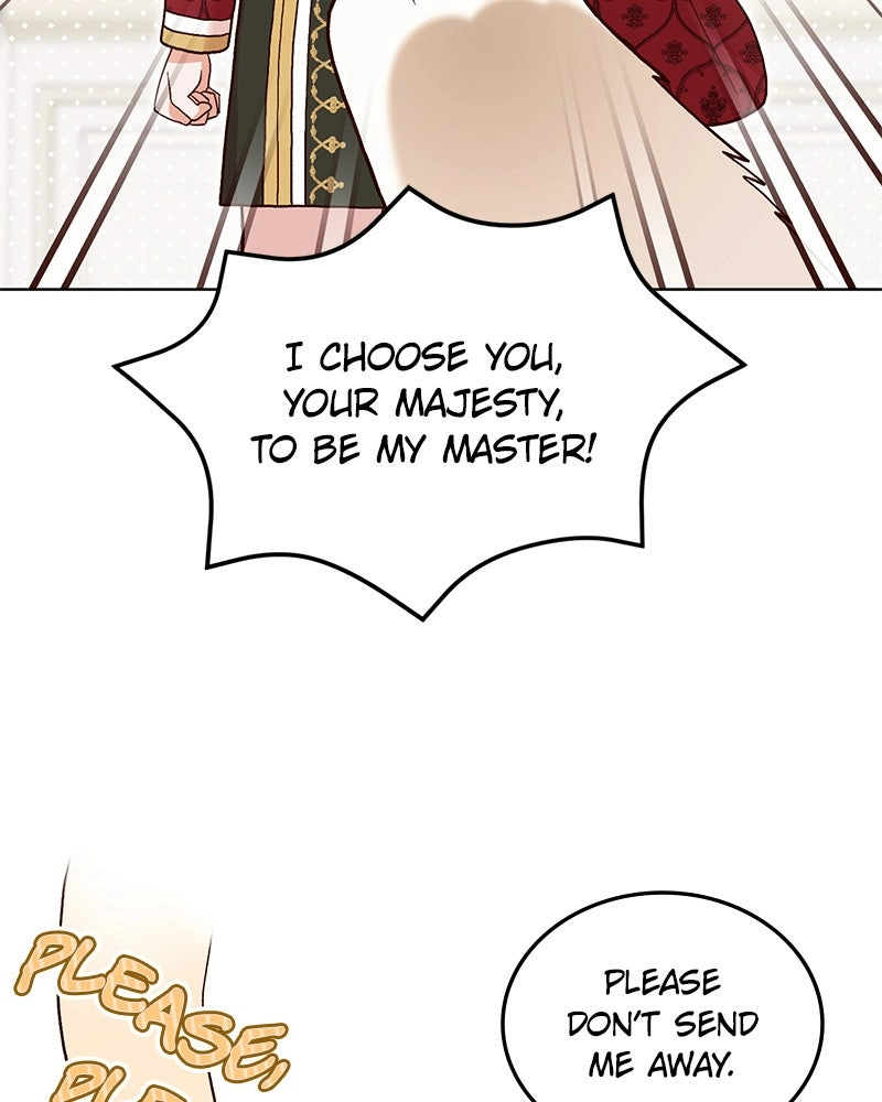 Read The Emperor