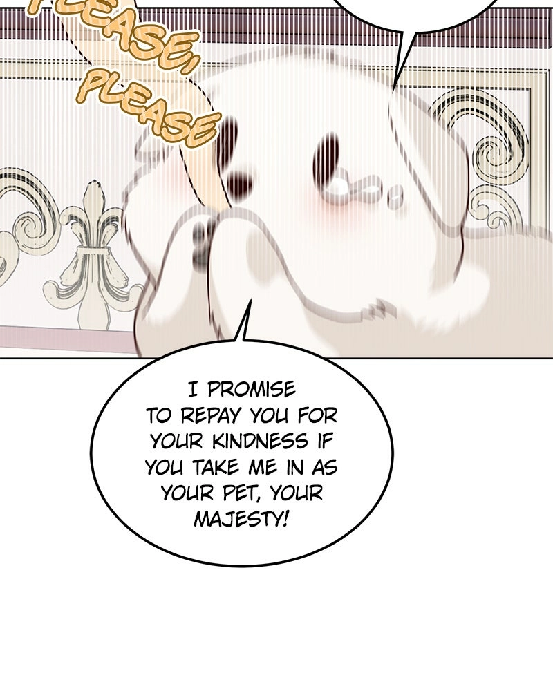 Read The Emperor