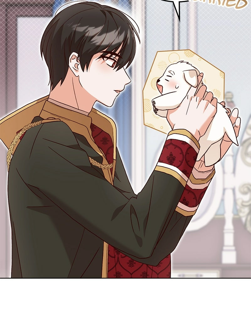 Read The Emperor