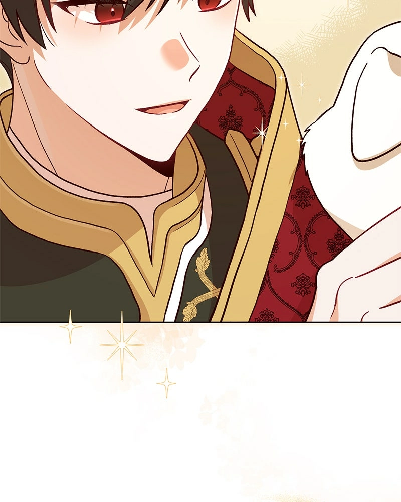 Read The Emperor