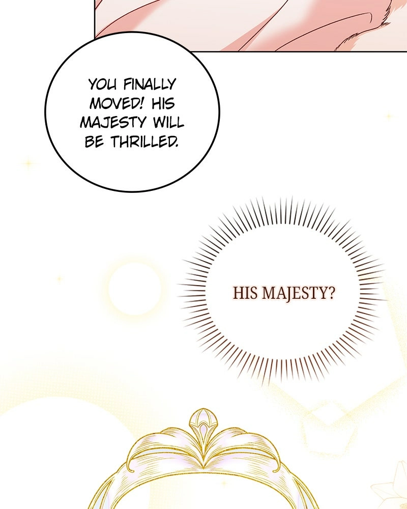 Read The Emperor