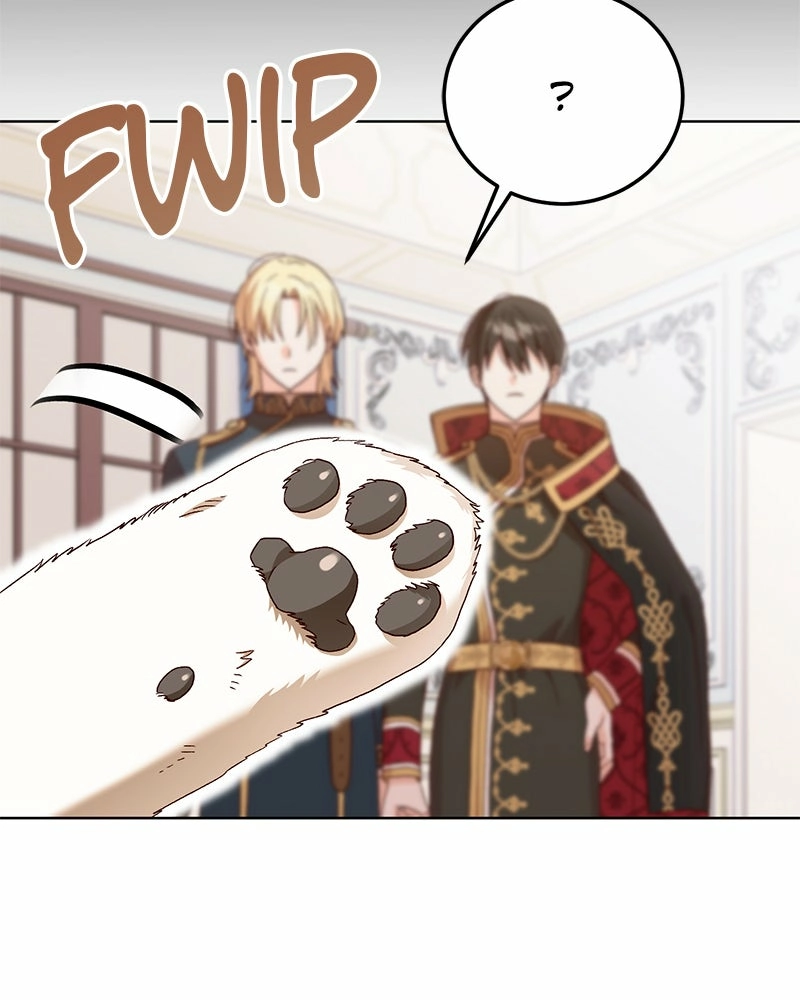 Read The Emperor