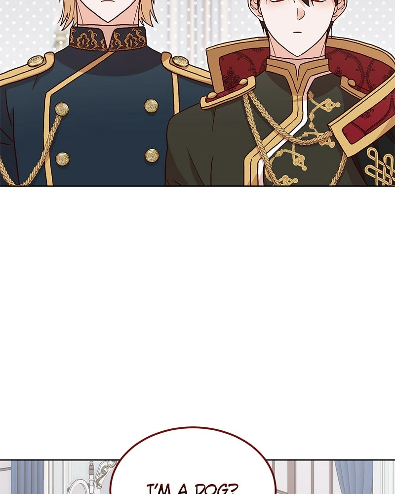 Read The Emperor