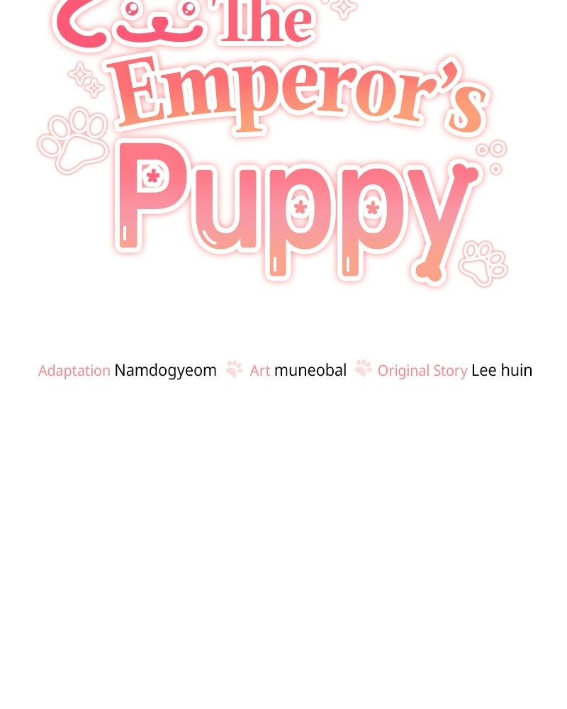 Read The Emperor