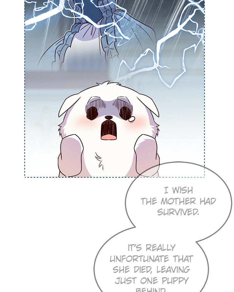 Read The Emperor