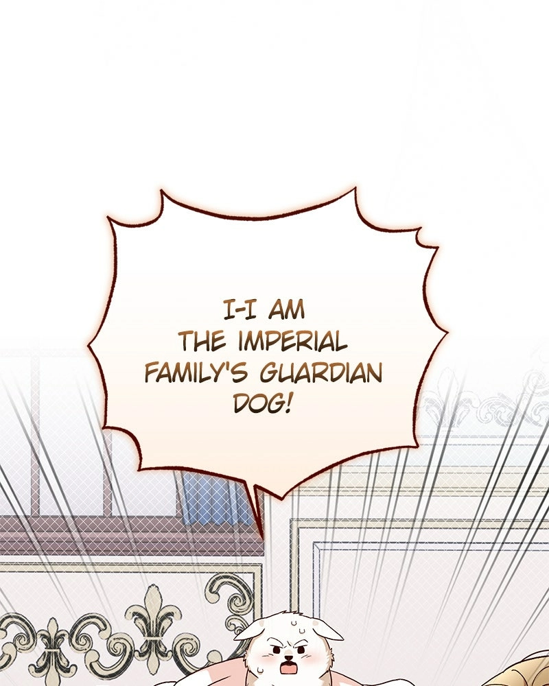 Read The Emperor