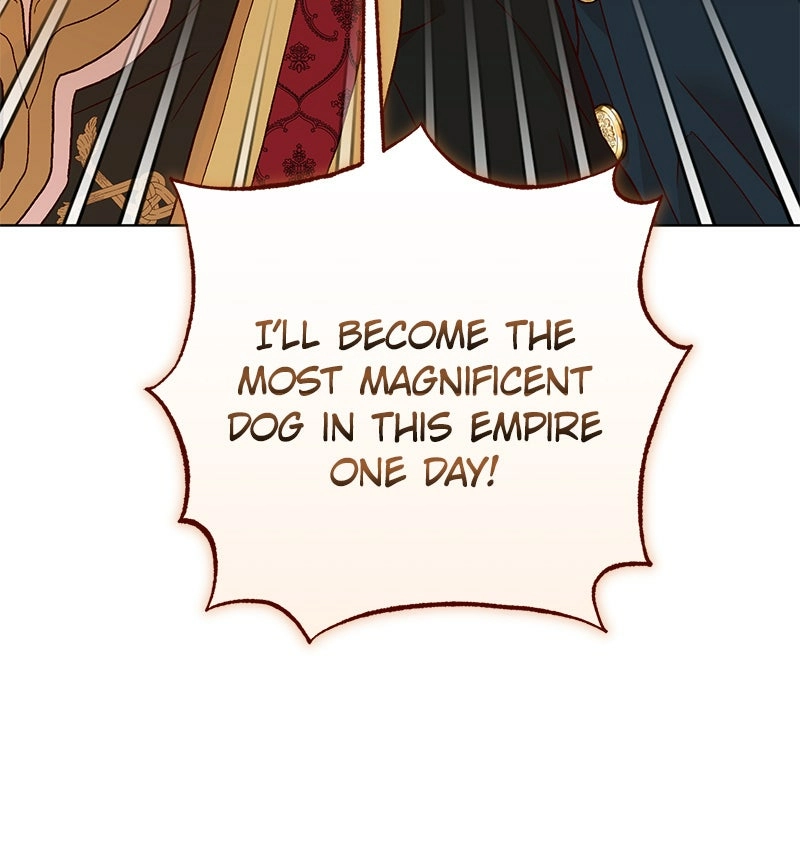 Read The Emperor