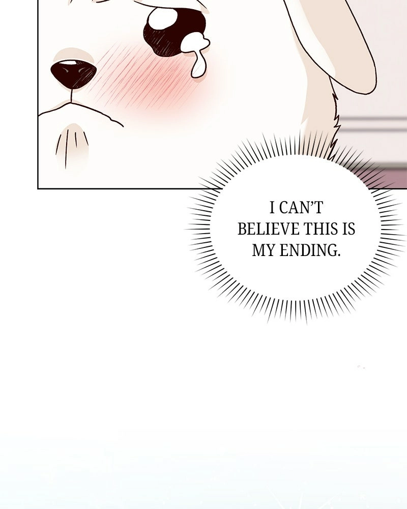 Read The Emperor