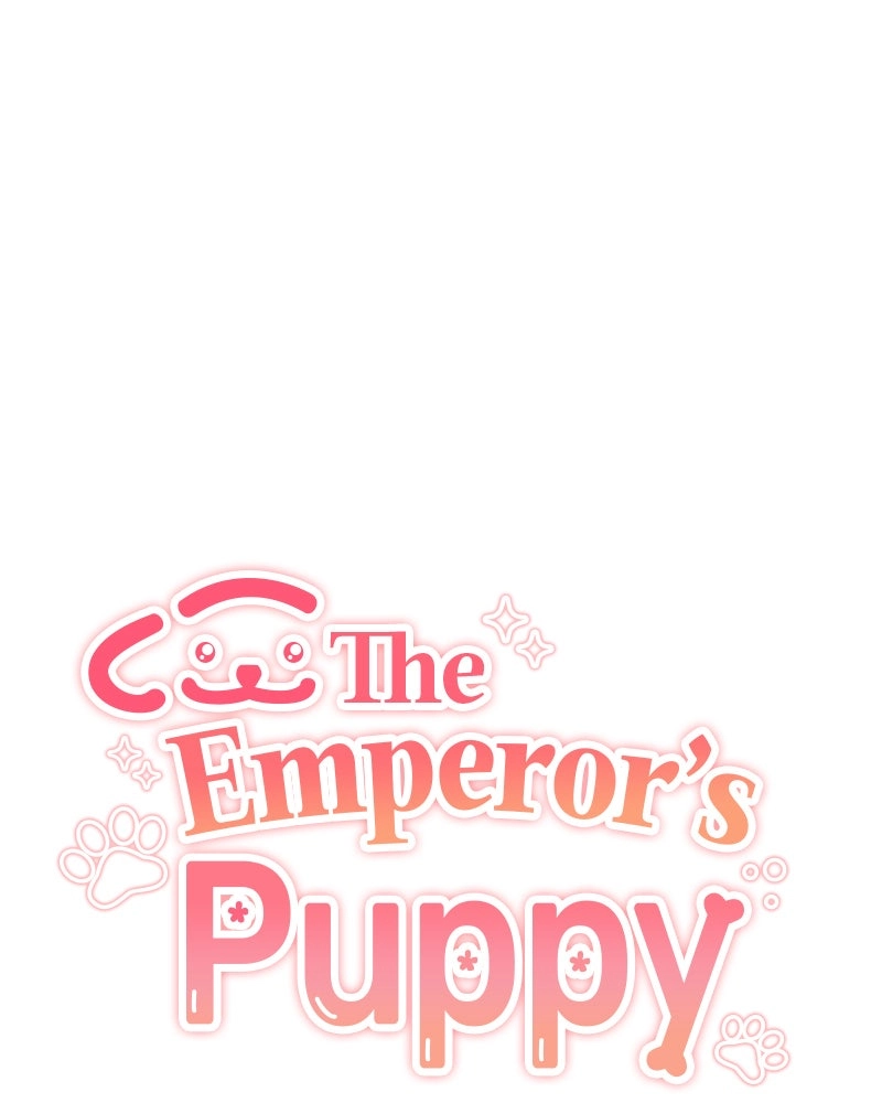 Read The Emperor
