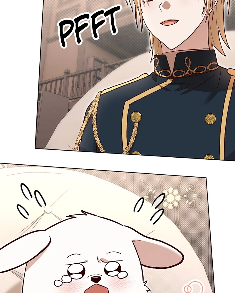 Read The Emperor