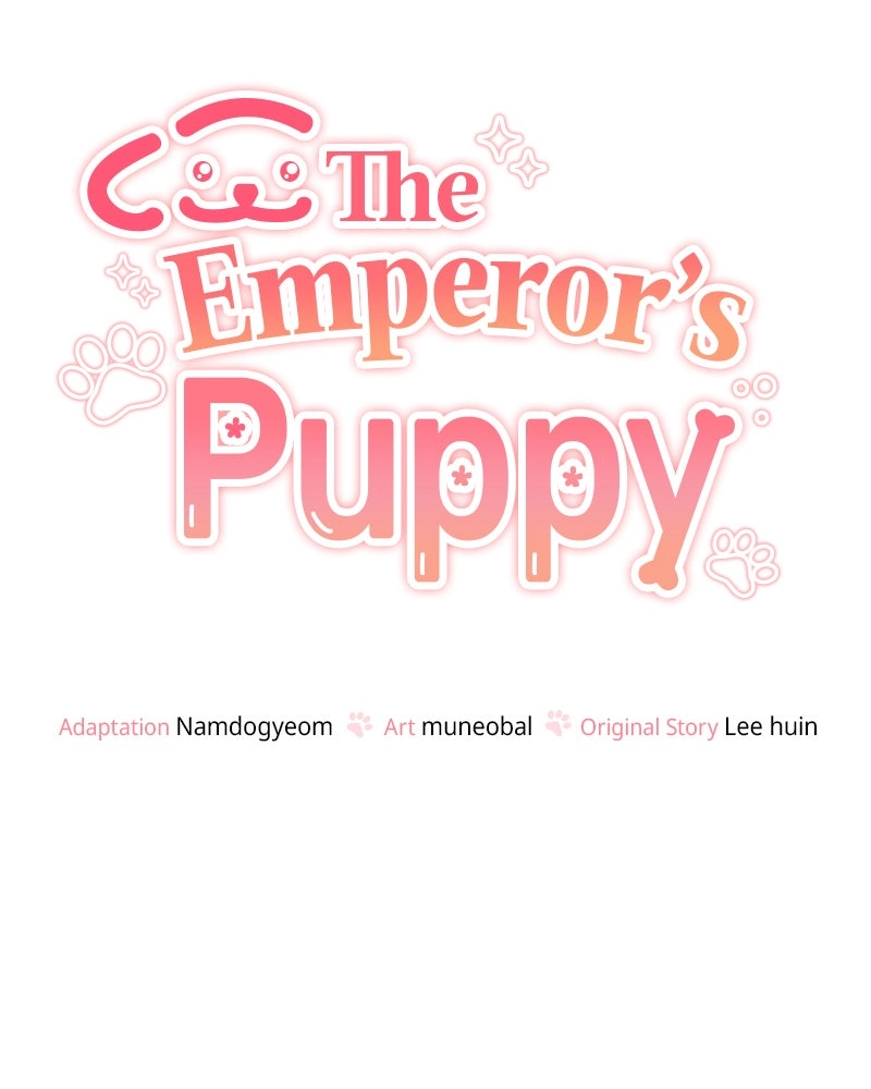 Read The Emperor