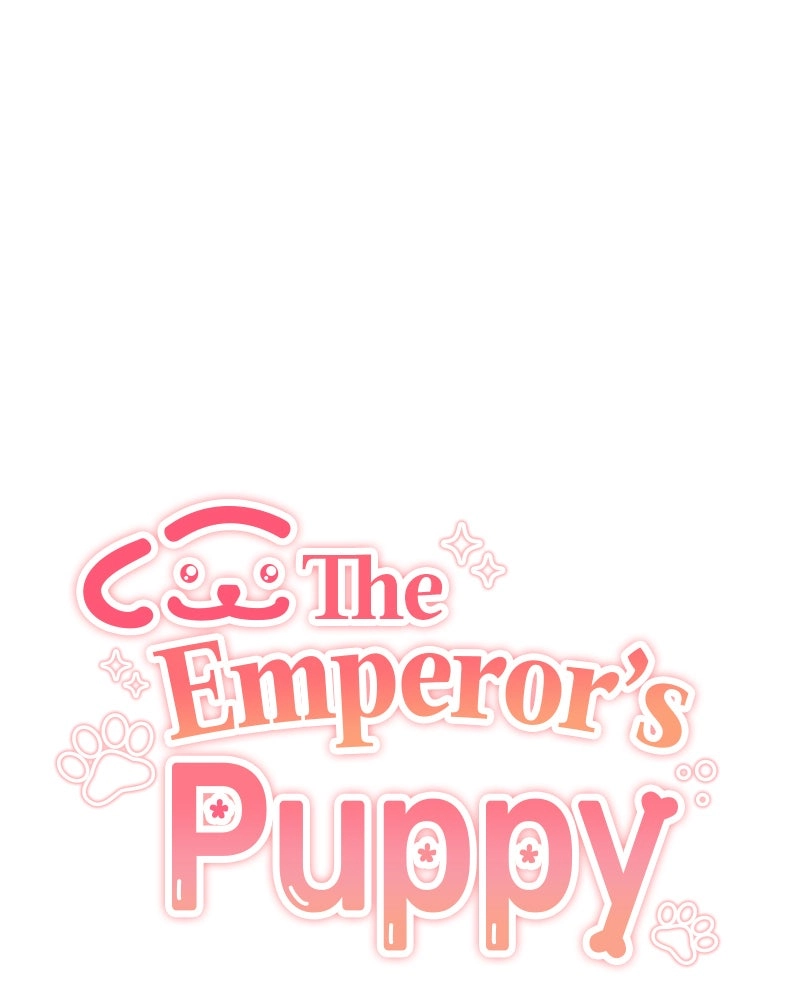 Read The Emperor