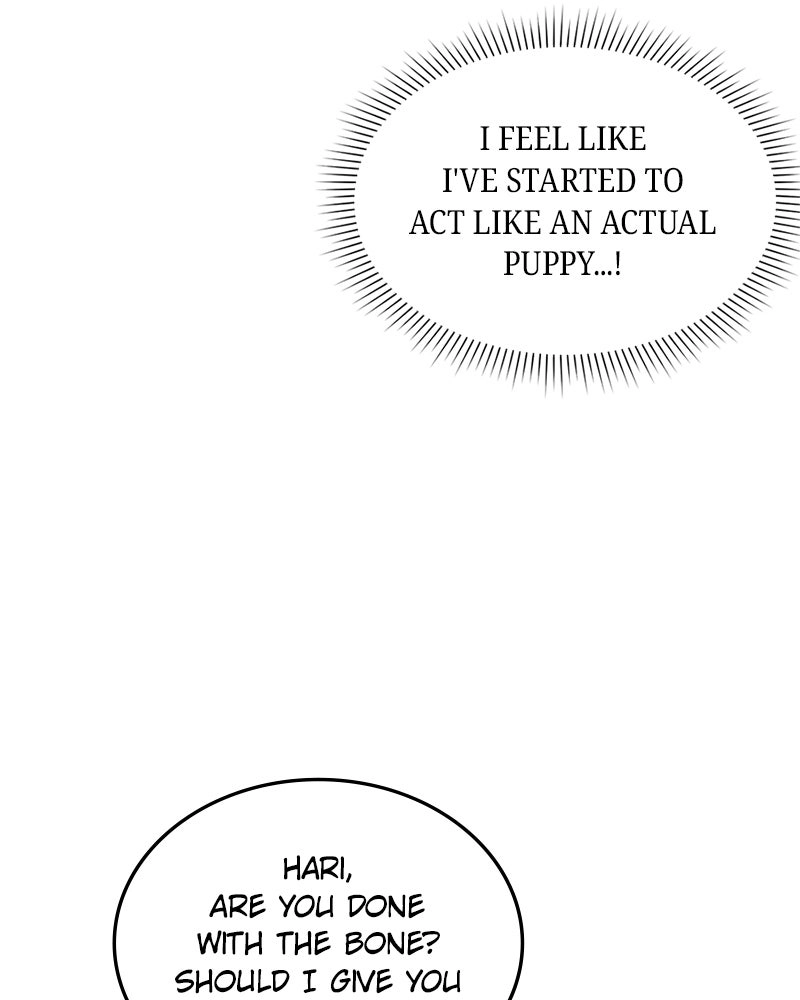 Read The Emperor