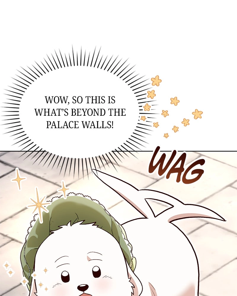 Read The Emperor