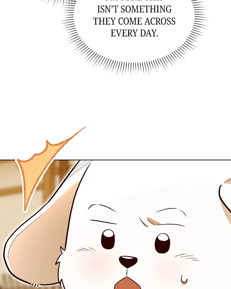 Read The Emperor