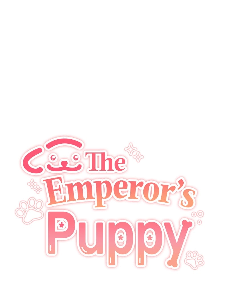 Read The Emperor