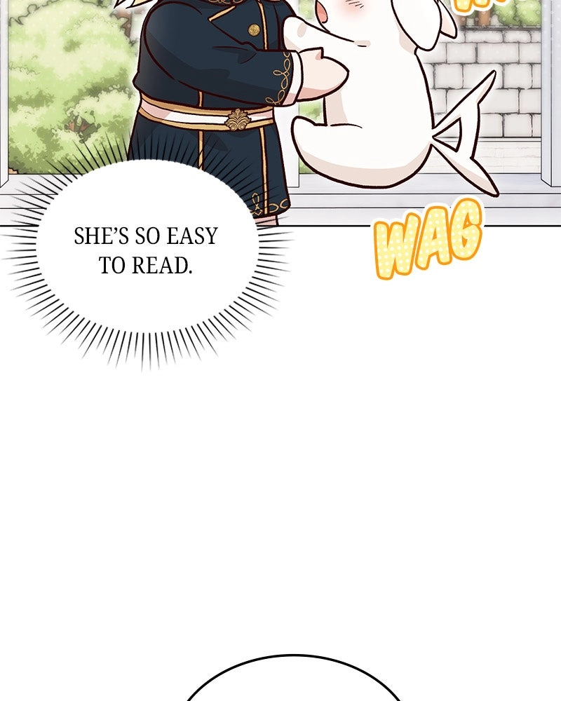 Read The Emperor
