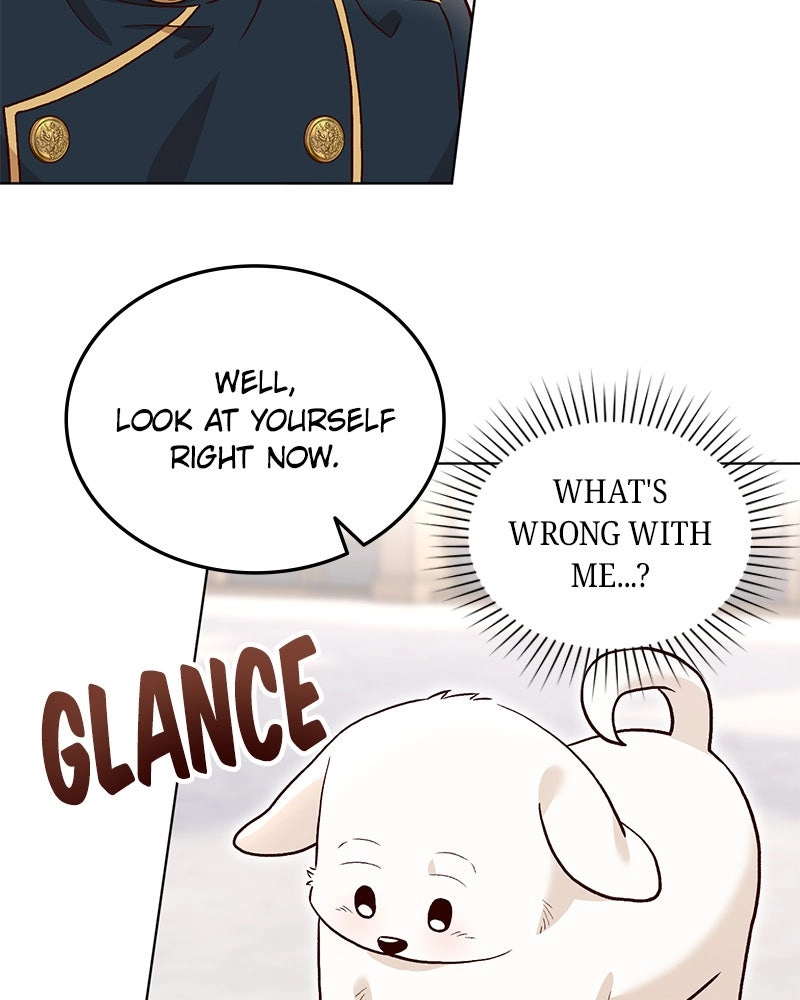 Read The Emperor