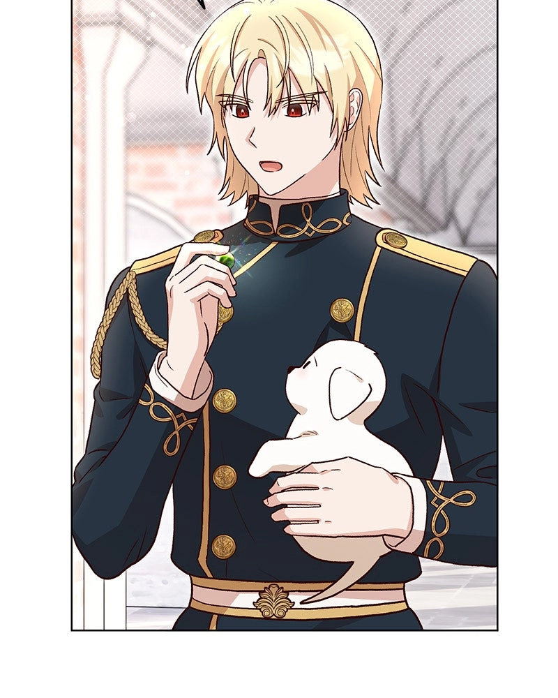 Read The Emperor