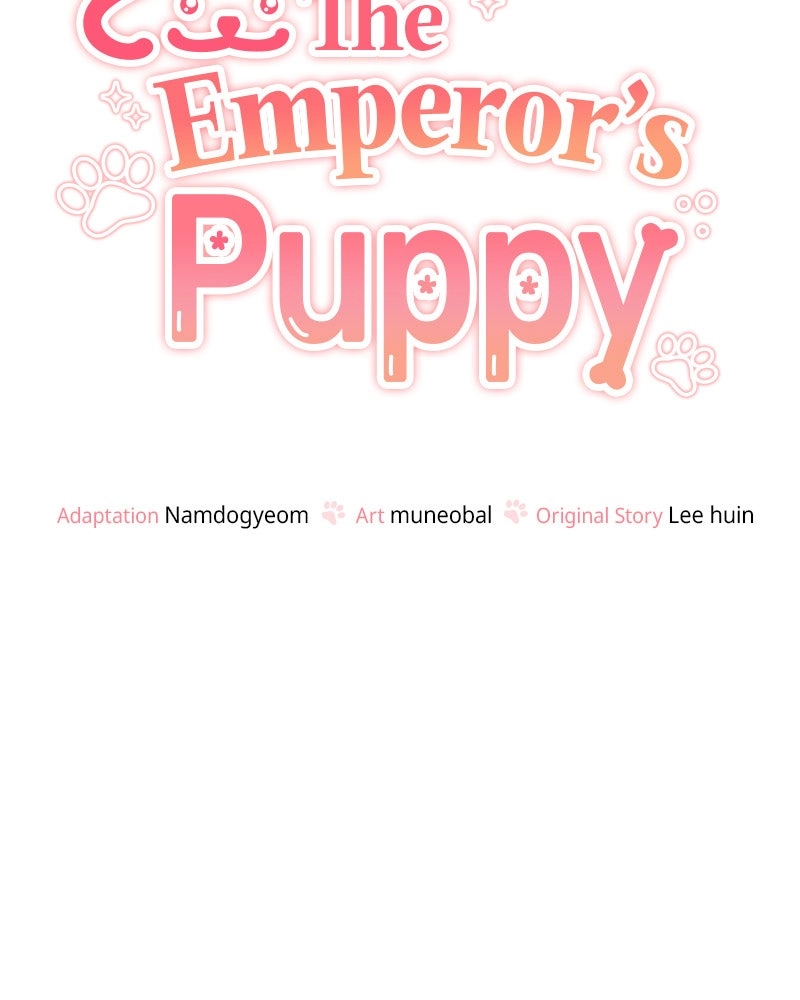 Read The Emperor